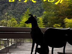 -原乡芦茨咖啡