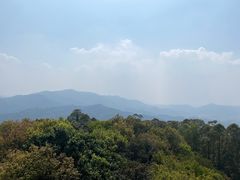 -水濂山乐民游艺园