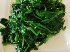 清炒革命菜-新疆伏拉沃餐厅(白龙南路店)