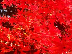 -共青国家森林公园-售票处