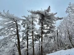 -安吉龙王山风景区