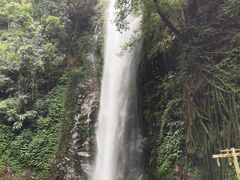 -莫里热带雨林景区