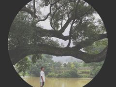 -上坦村