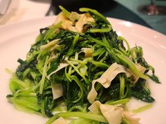 -老吉堂上海本帮菜(望京万象汇店)