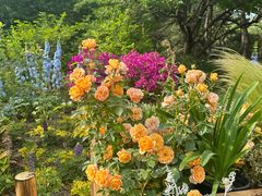 -国家植物园南园