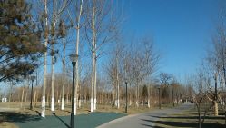 点击看大图 -大望京儿童游乐场