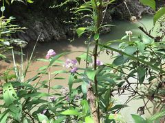 -华蓥山天意谷景区