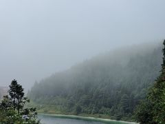 -武陵山森林公园