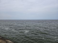 -东堤公园