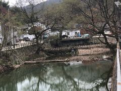 -四明山国家森林公园