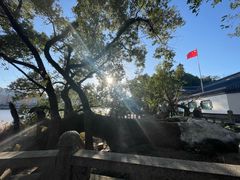-江心屿景区