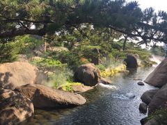 景点-罗红摄影艺术馆