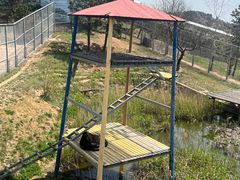 -西霞口神雕山野生动物世界