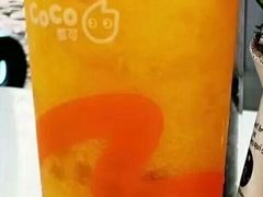 春见柑橘-CoCo都可(深业东岭店)