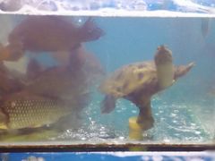 -老村长土菜馆(湖墅南路店)