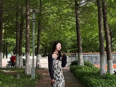 -桃花岛公园