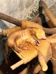 -Zoolung Zoolung动物主题公园(海信广场店)