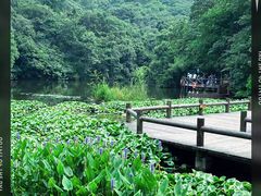 -天目湖山水园