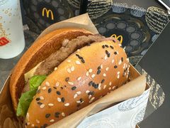 -奔驰北京鹏龙星徽(西大望路店)