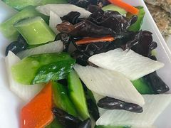 -云中小雅