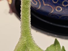 -董记老清泉·鲜切涮羊肉(窑岭店)