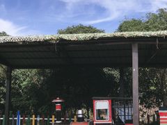 -武汉紫薇都市田园