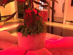 -东方之珠KTV娱乐超市(河北店)