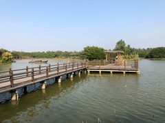 -大湾区中央湿地公园