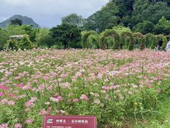 -英西峰林·洞天仙境