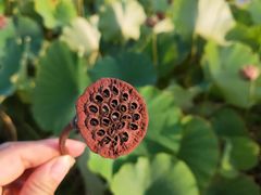 -南戴河国际娱乐中心