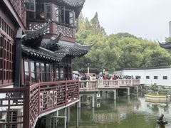 -绿波廊(豫园店)