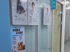 -全心全意连锁动物医院·微创中心·内科急重症·心脏专科(丰管路店)