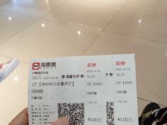 -华美国际影城(旧宫永辉店)