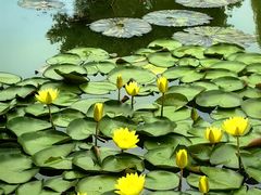 -国家植物园南园