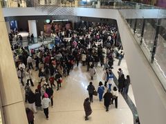 -合景·悠方(成都店)