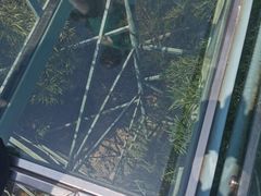 -陶祖圣境风景区