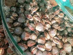 -沿海渔家院蒸汽海鲜·东北菜(东戴河店)