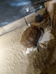 点击看大图 -酷嗒动物文化乐园(cutezoo西溪乐天城店)