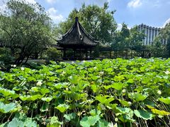 -上海醉白池公园