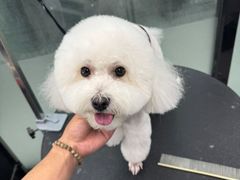 -宠物家(长阳店)