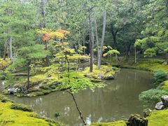 -西芳寺(苔寺)