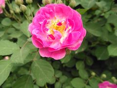 -永定河休闲森林公园