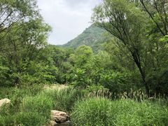 -碓臼峪自然风景区