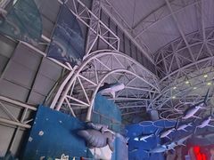 -烟台海昌鲸鲨海洋公园