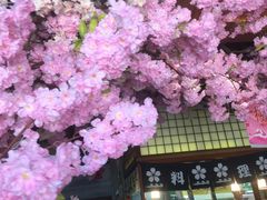 -尺山寸水日料(马桥满天星店)