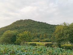 -八卦田遗址公园
