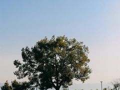 -东钱湖旅游度假区