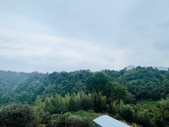 -江西阳明山国家森林公园