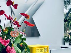 -跃通XPEL隐形车衣汽车贴膜旗舰店