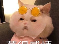 -融园咖啡馆(昙华林店)